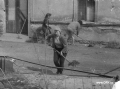 zvtit