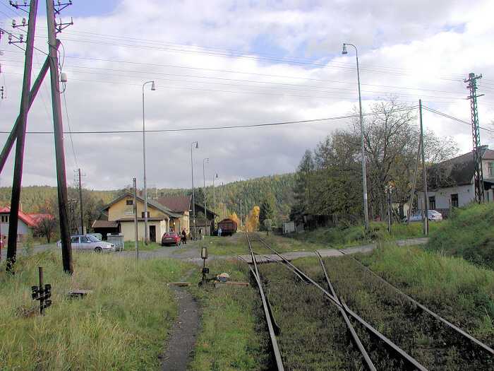 Zavt