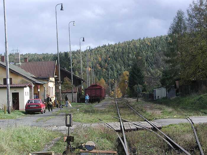 Zavt
