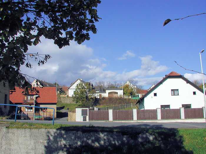 Zavt