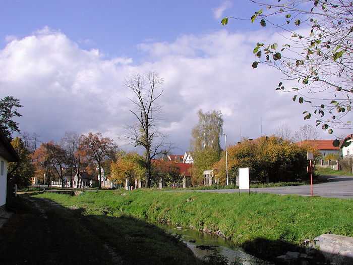 Zavt