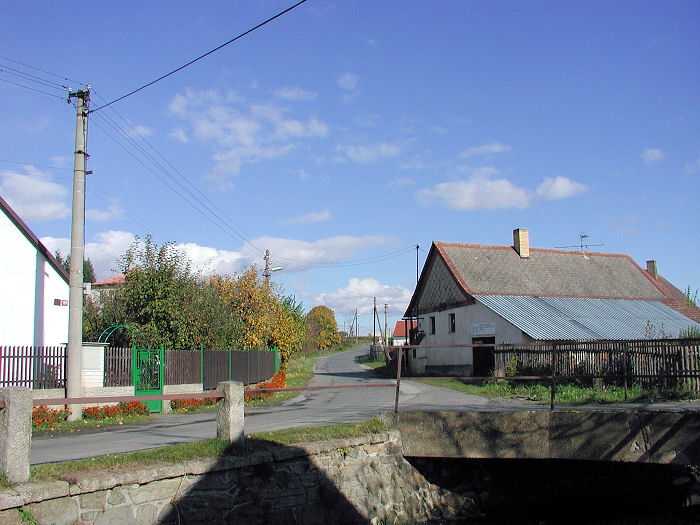 Zavt