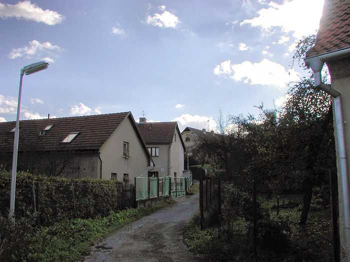 Zavt