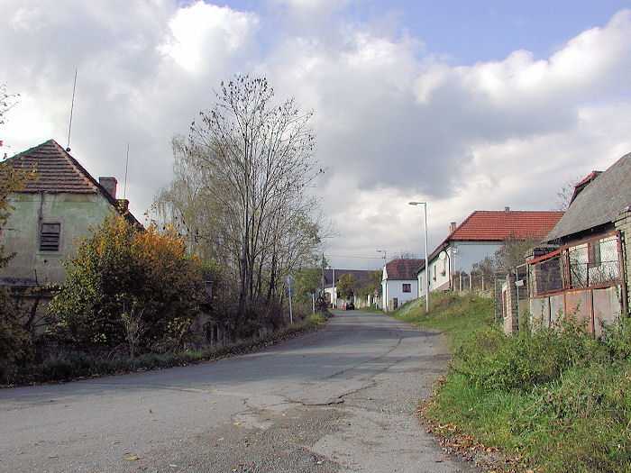 Zavt