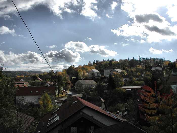 Zavt