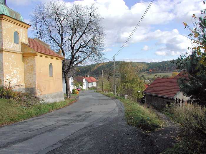 Zavt