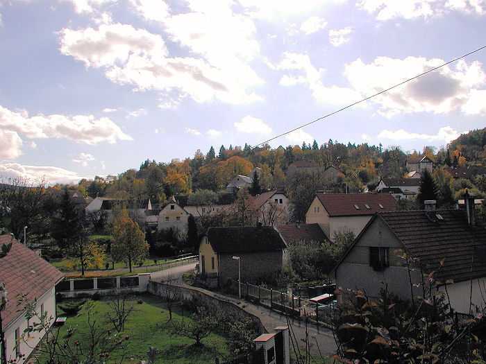 Zavt