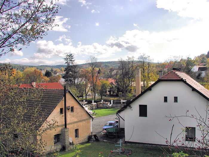 Zavt