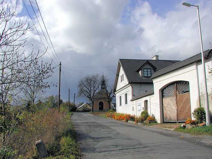 Zavt