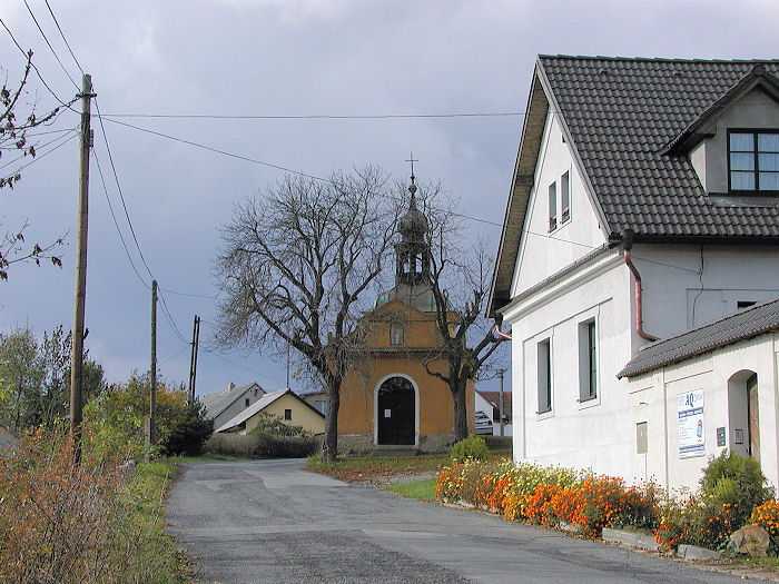 Zavt
