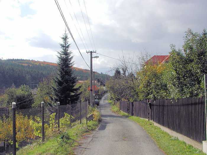 Zavt