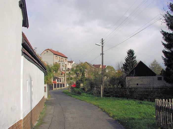 Zavt