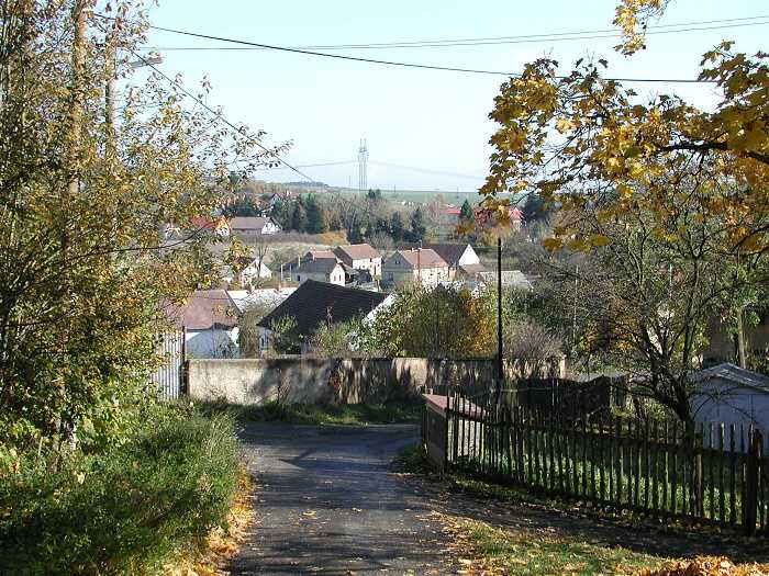 Zavt