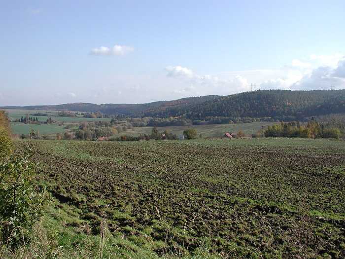 Zavt