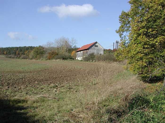 Zavt