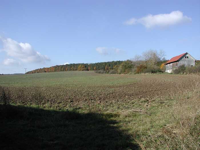 Zavt