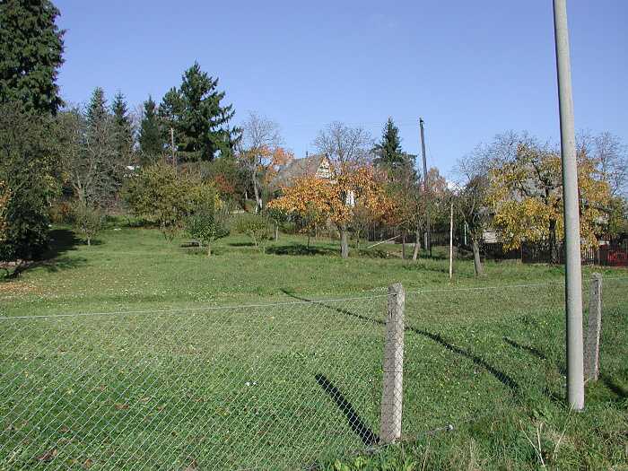 Zavt