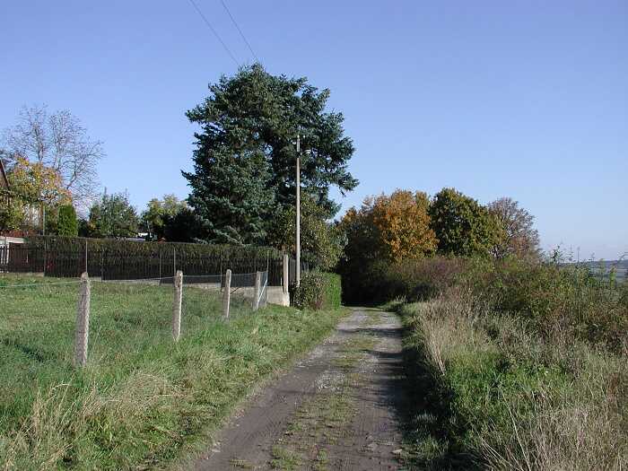 Zavt