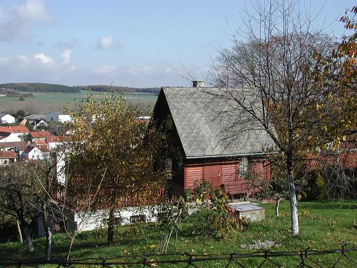 Zavt