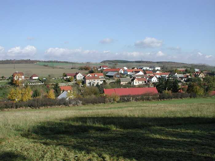 Zavt