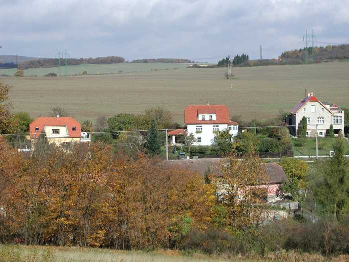 Zavt