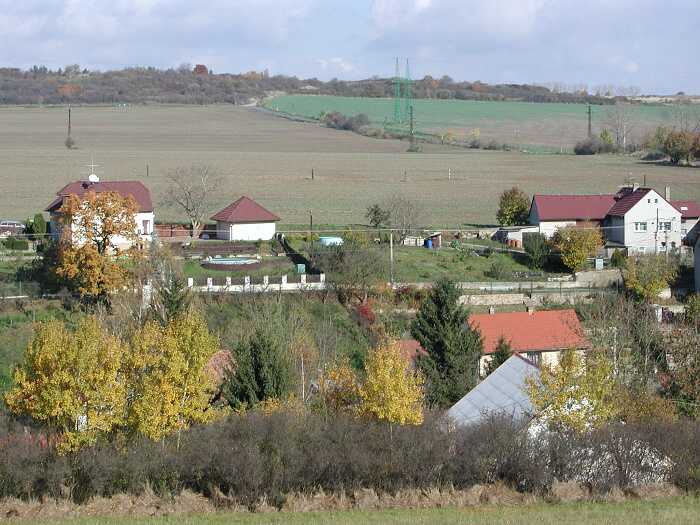 Zavt