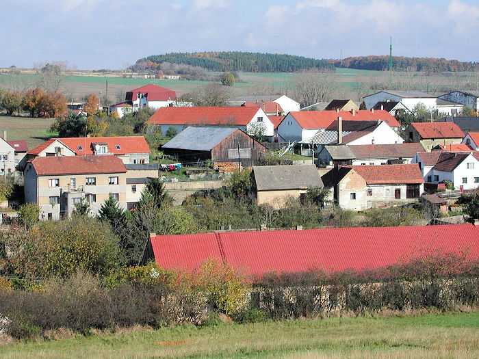 Zavt