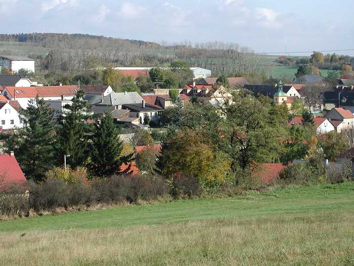 Zavt