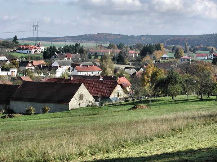 Zavt