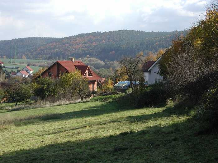 Zavt