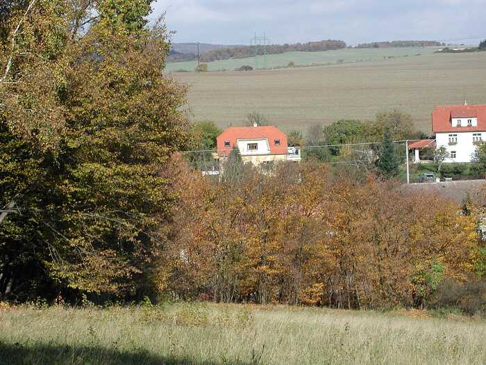 Zavt