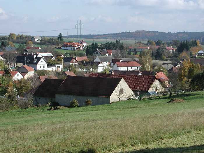 Zavt