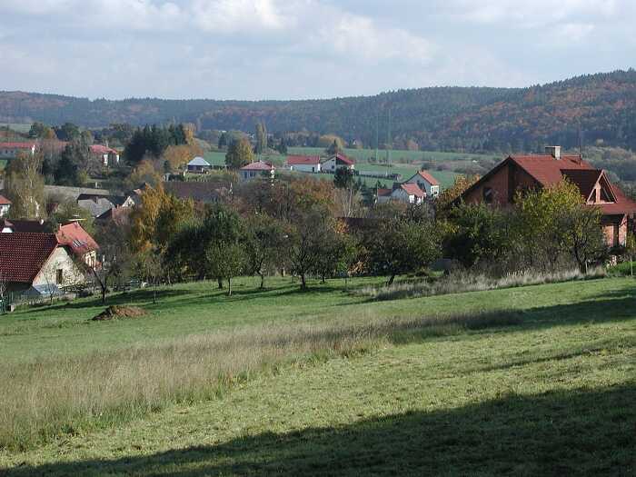 Zavt