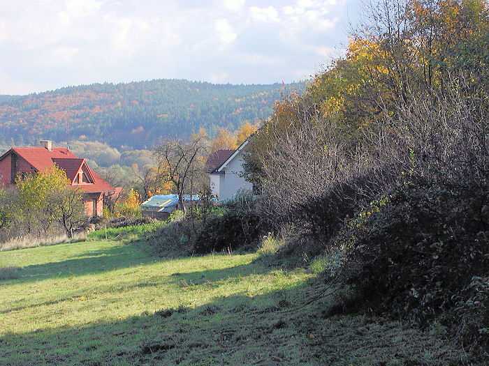 Zavt
