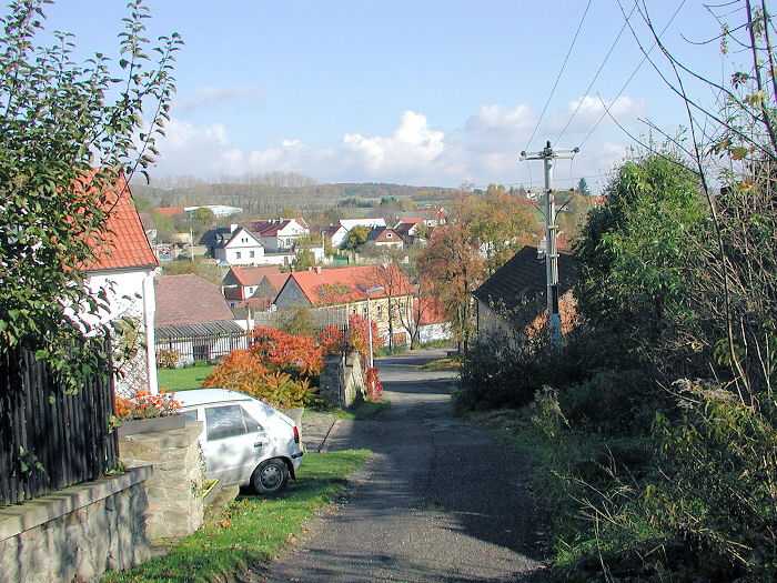 Zavt