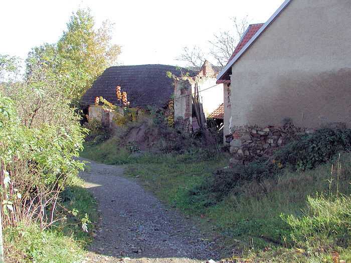 Zavt