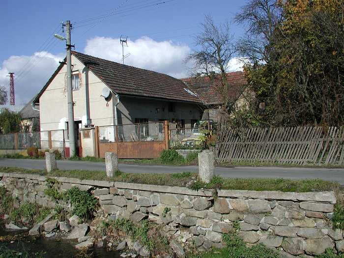 Zavt