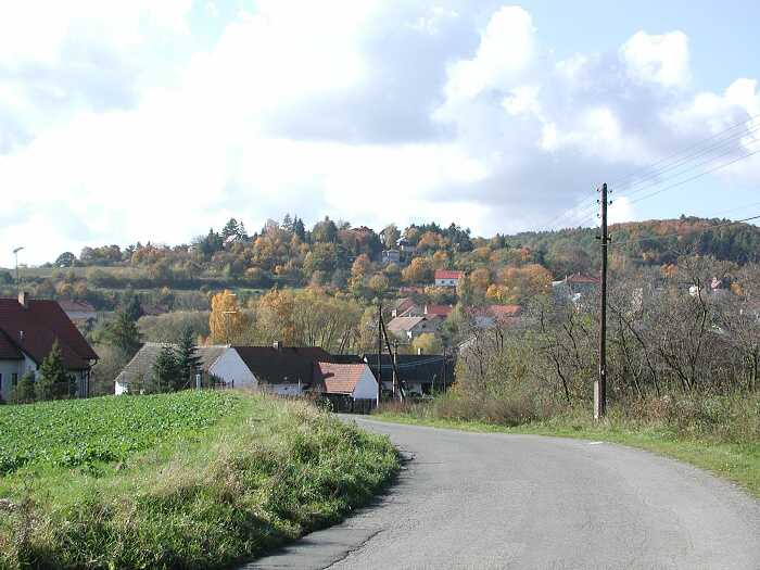 Zavt