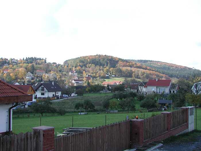 Zavt