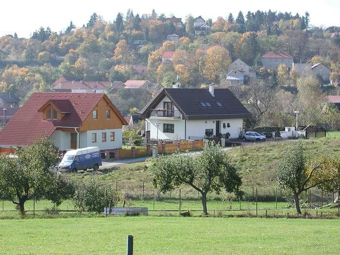 Zavt