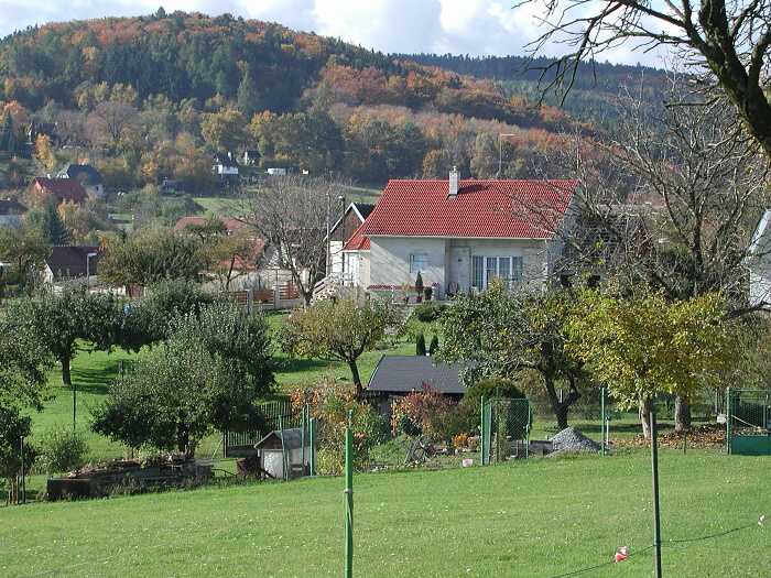 Zavt