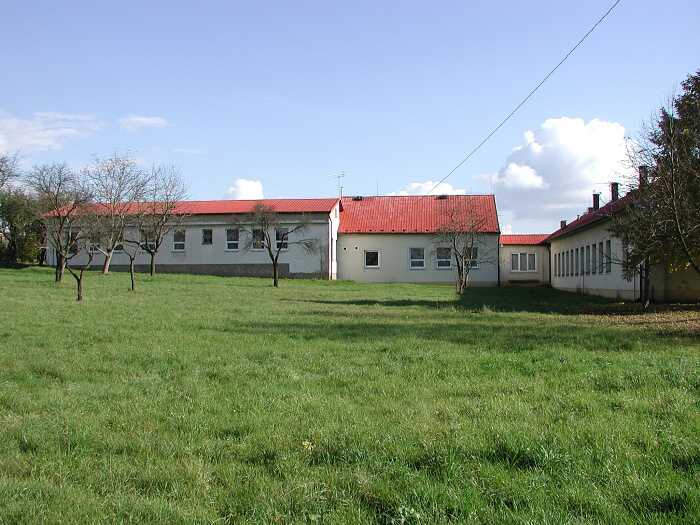 Zavt