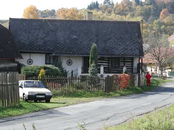 Zavt