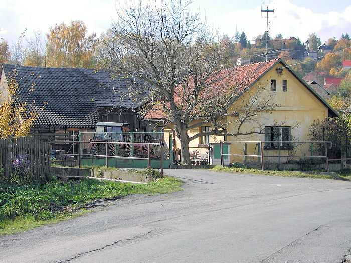Zavt