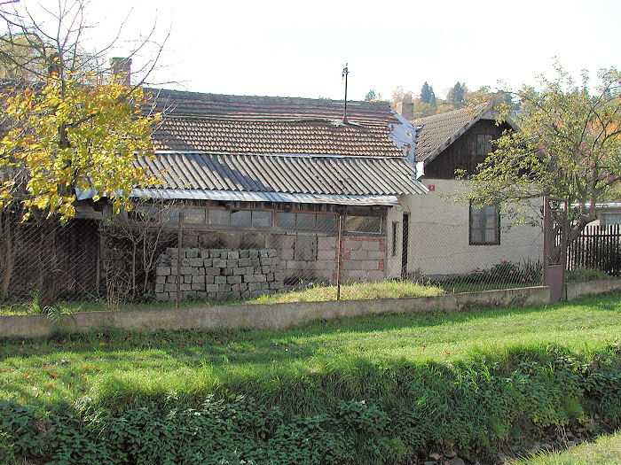 Zavt