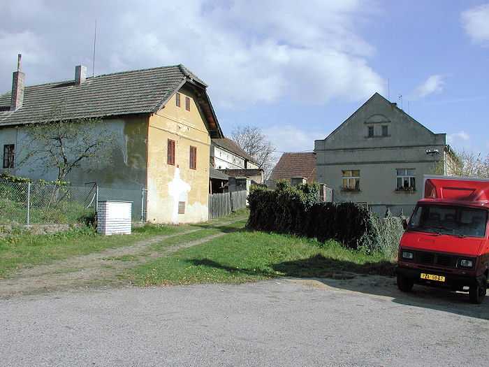 Zavt
