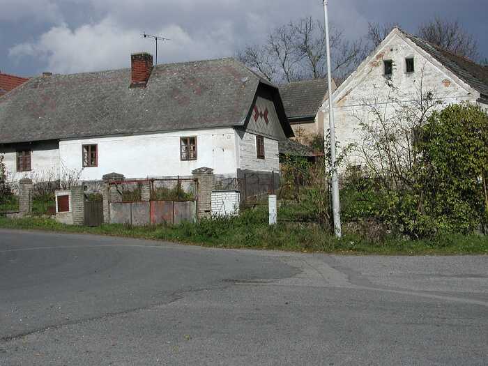 Zavt