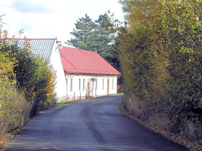 Zavt