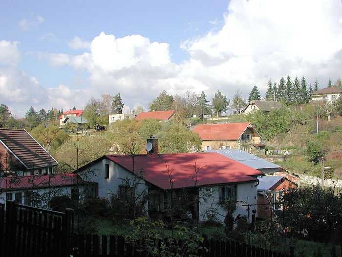 Zavt