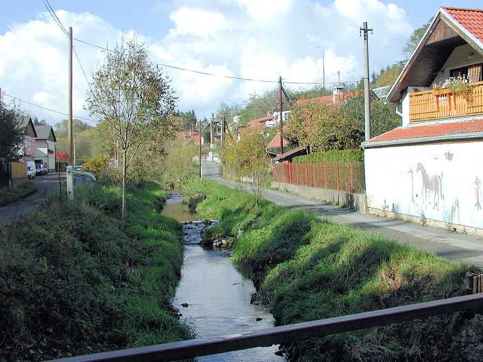 Zavt